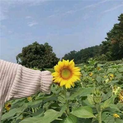 绝世唐门游戏辅助下载